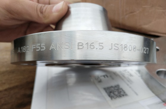 Duplex Flanges & Suplex Dupex Flanges